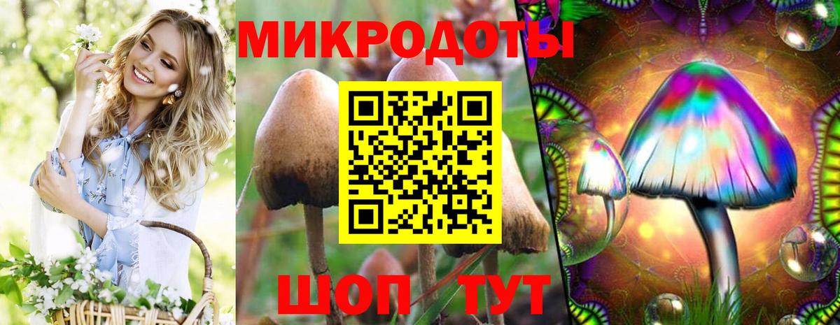 Псилоцибиновые грибы мицелий Джанкой